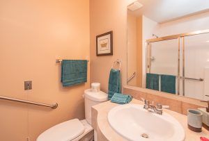 Alavida Lifestyles - Park Place - Bathroom