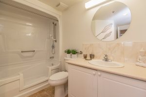 Alavida Lifestyles - Park Place - Bathroom