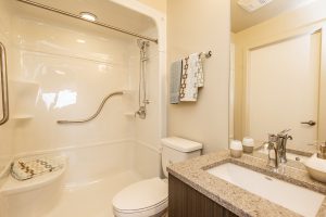 Alavida Lifestyles - Ravines - Bathroom