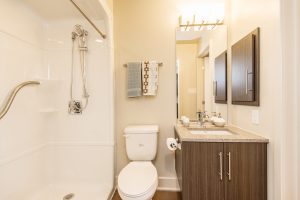 Alavida Lifestyles - Ravines - Bathroom