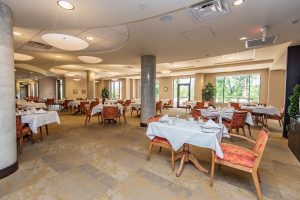 Alavida Lifestyles - Ravines - Dining Hall