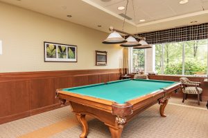 Alavida Lifestyles - Ravines - Pool table