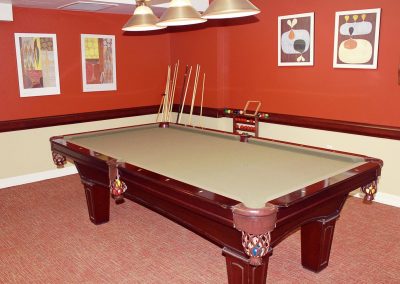Alavida Lifestyles - Park Place - Pool table / Games Room