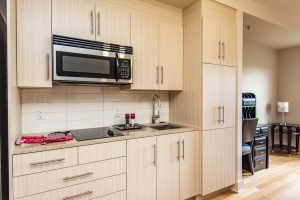 Alavida Lifestyles - Ravines - Kitchen