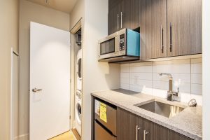 Alavida Lifestyles - Ravines - Kitchen