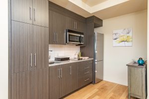 Alavida Lifestyles - Ravines - Kitchen