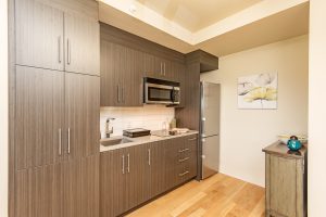 Alavida Lifestyles - Ravines - Kitchen