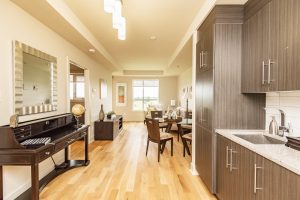 Alavida Lifestyles - Ravines - Living / Dining / Kitchen