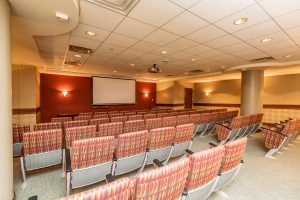 Alavida Lifestyles - Ravines - Theatre Room