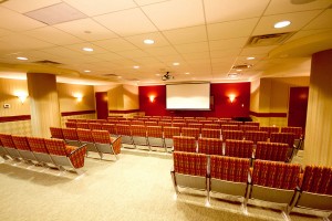 Alavida Lifestyles - Ravines - Theatre Room